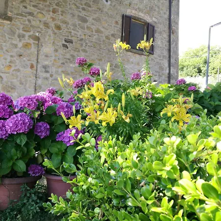 I Castagnini Apartment *
