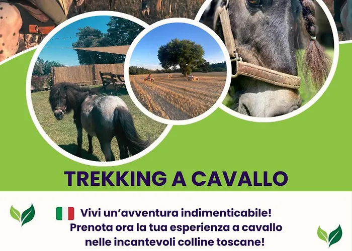 Διαμέρισμα I Castagnini