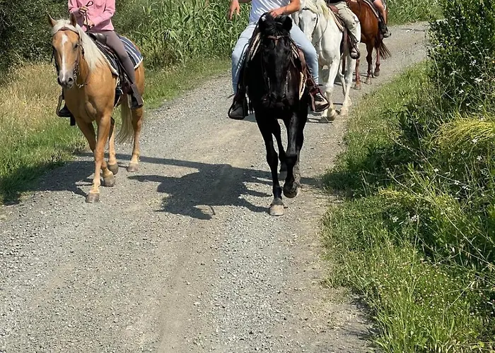 I Castagnini Διαμέρισμα *